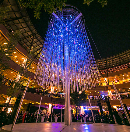 “光影上！钡乒庖帐踅谒飨钅